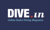 DIVE.in