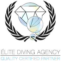 EDA Quality Certified Partner
