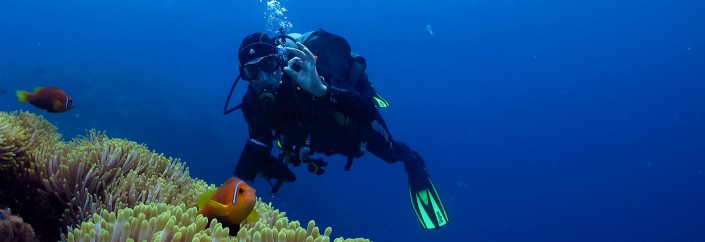 6 different types of scuba divers