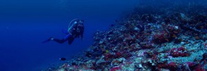 Perfect scuba diving buoyancy control