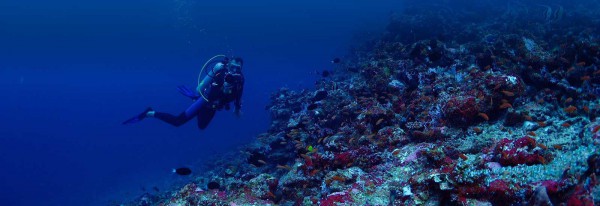 The Secret of Perfect Diving Buoyancy Control