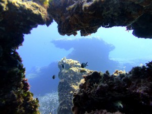 Dives in Malta - Photo credit: Matthew Sammut